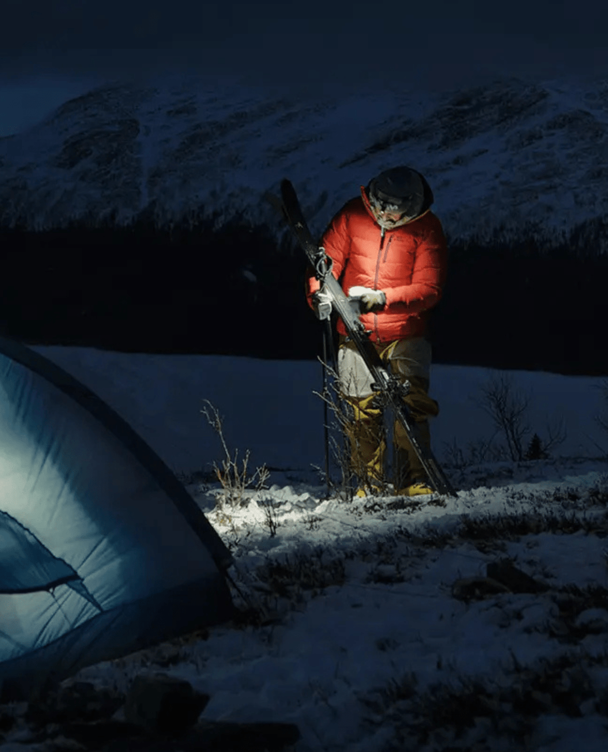 Elevenate Mens Bec de Rosses XI Pants - Pecan Brown - Skidbyxor - Alpingaraget