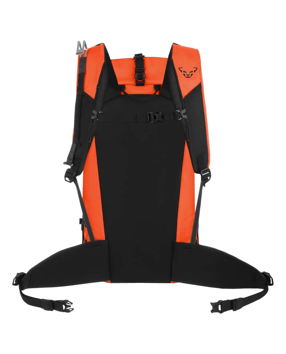 Dynafit Expedition 36 Backpack - Dawn/Black Out - Alpingaraget