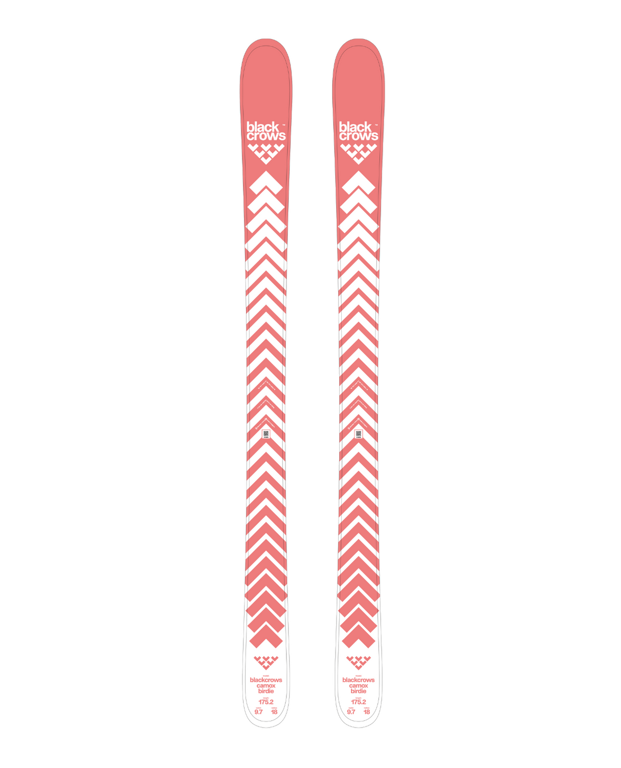 Black Crows Camox Birdie 25/26 - Alpingaraget