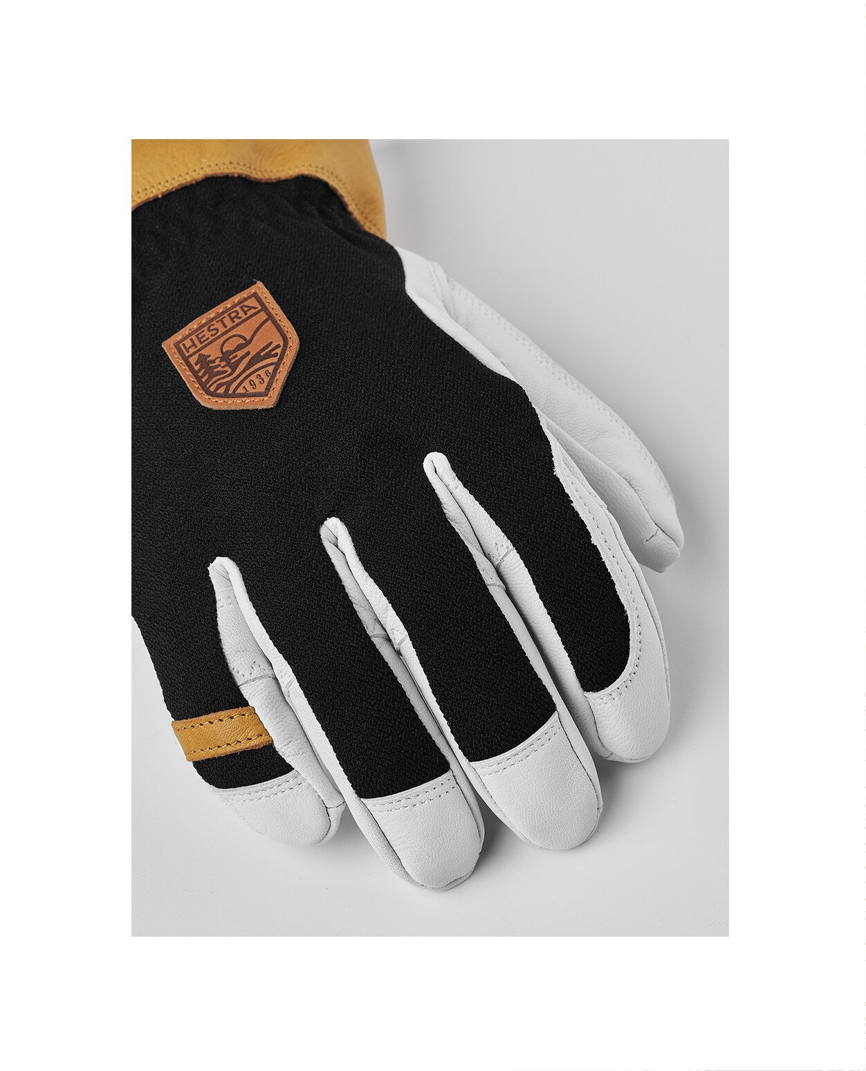 Hestra Ergo Grip Alpha 5 Finger - Black - Alpingaraget