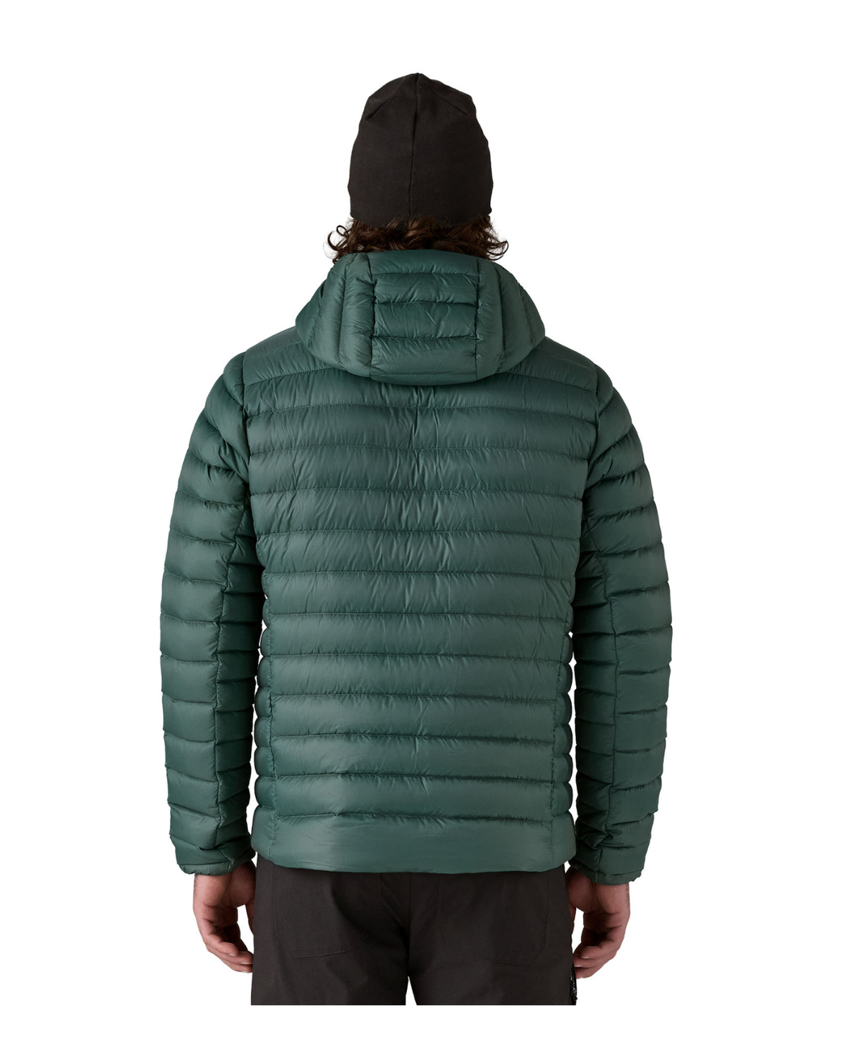 Patagonia Men Down Sweater Hoody - Cascade Green Alpingaraget