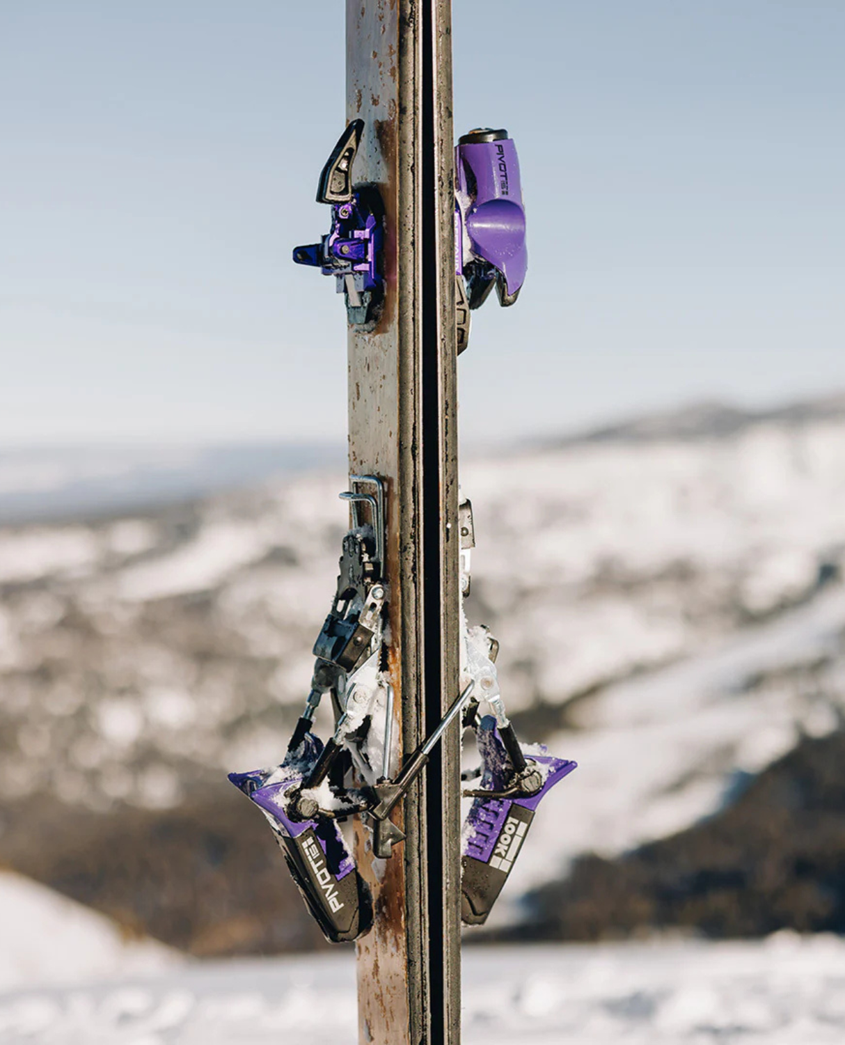 Cast Pivot 18 Freetour 2.0 - Purple - Alpingaraget