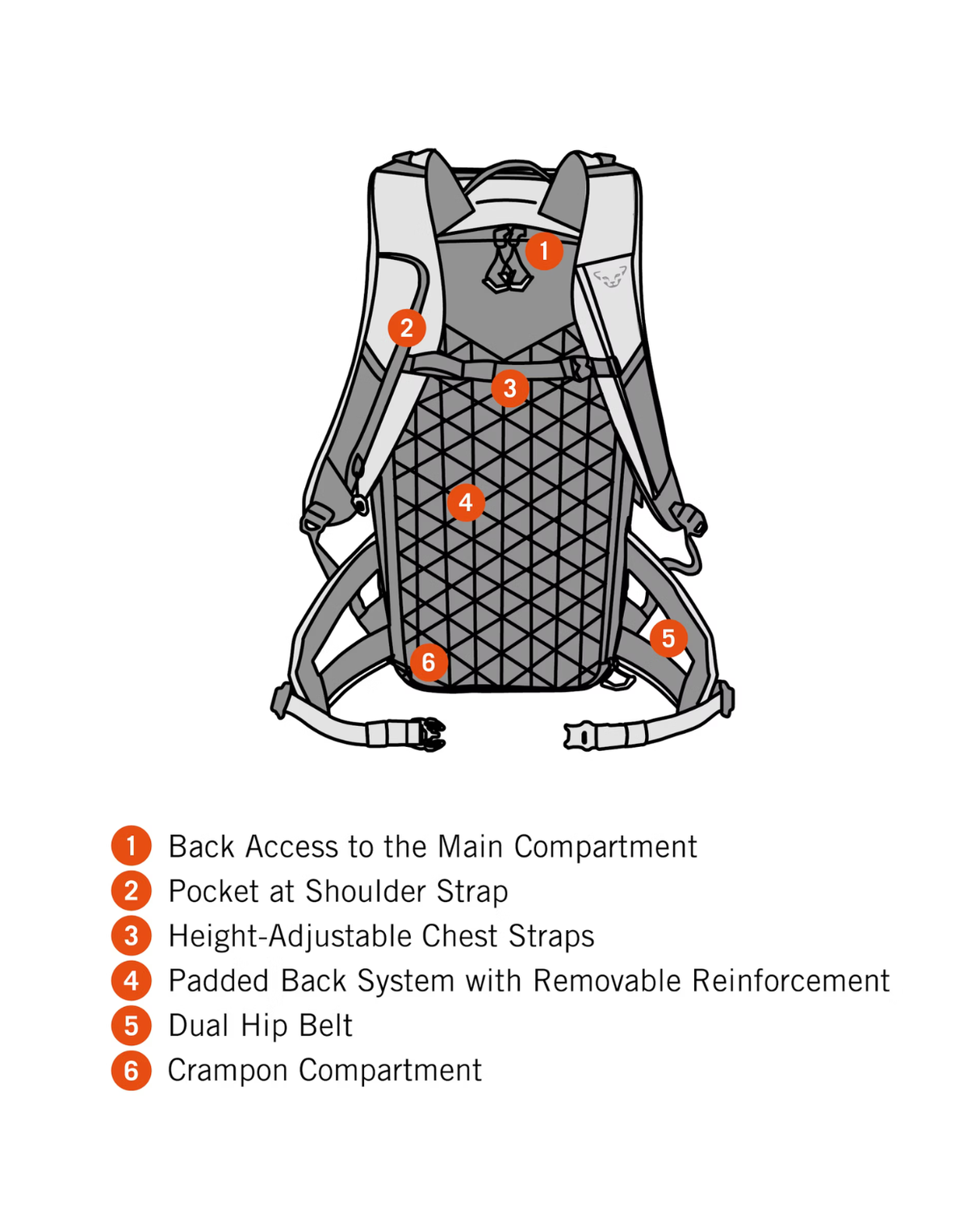 Dynafit Free 34 Backpack - Storm Blue Blueberry - Alpingaraget