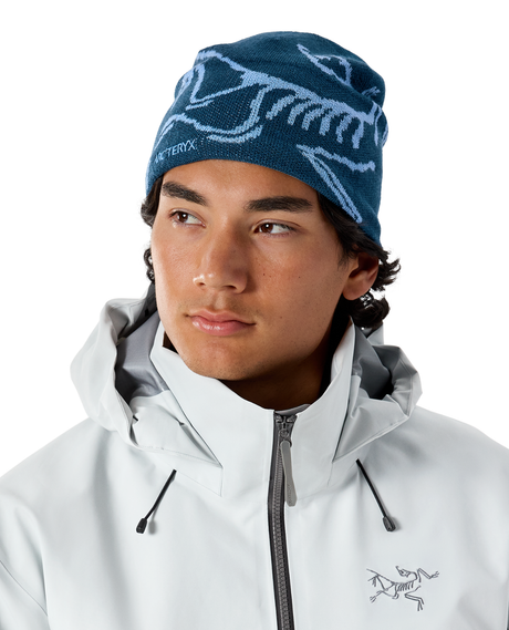 Arc'teryx Bird Head Toque - Nightscape / Glacial
