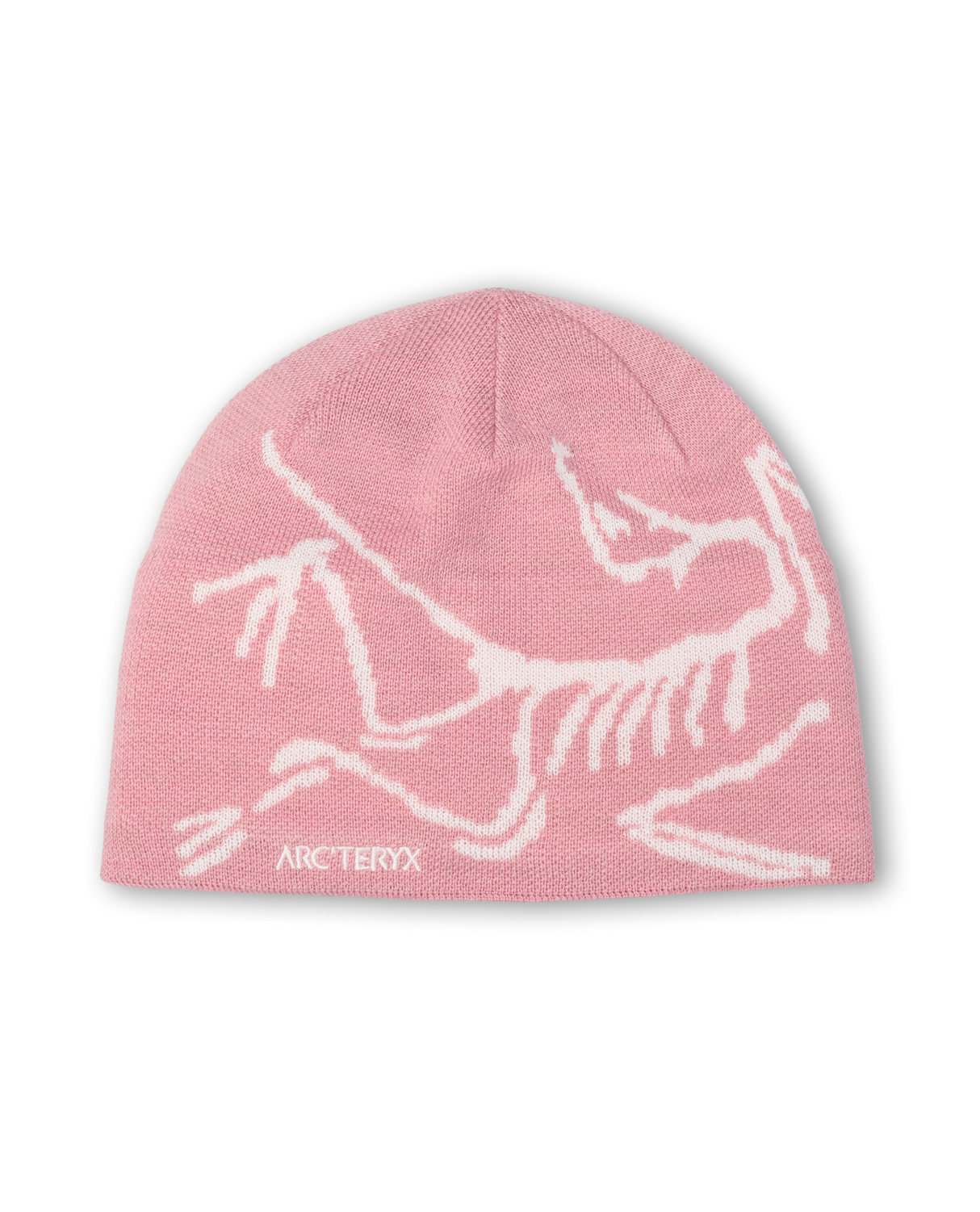 Arc'teryx Bird Head Toque - Bliss / Arctic Silk