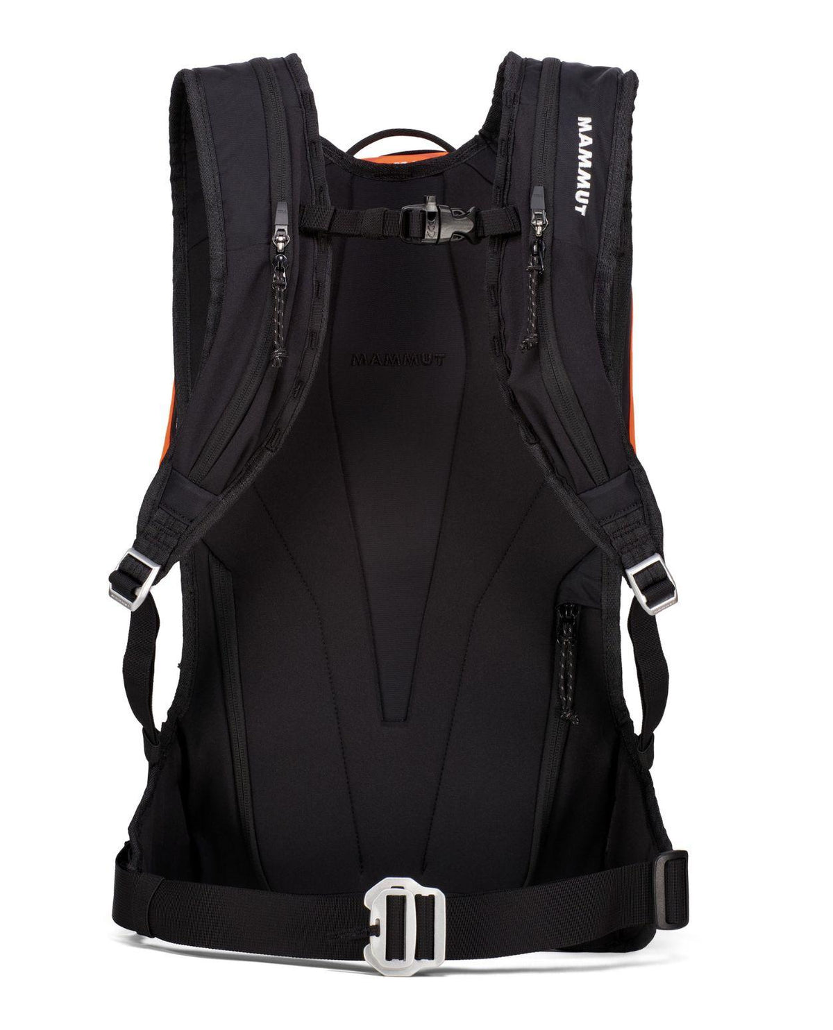 Mammut Haldigrat 22 E2 Airbag M svart lavinryggsäck visad bakifrån med bärsystem.