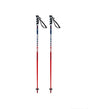 Swix World Cup Pro Junior Slalom - Alpingaraget