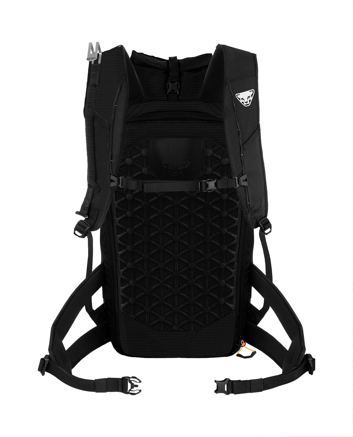 Dynafit Radical 30+ Backpack - Black Out - Alpingaraget