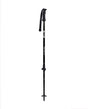 Scott Junior Pole Element Adjustable - Black  Alpingaraget